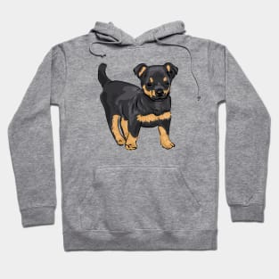 Lancashire Heeler dog puppy Hoodie